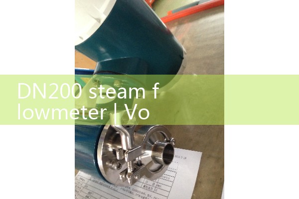 DN200 steam flowmeter